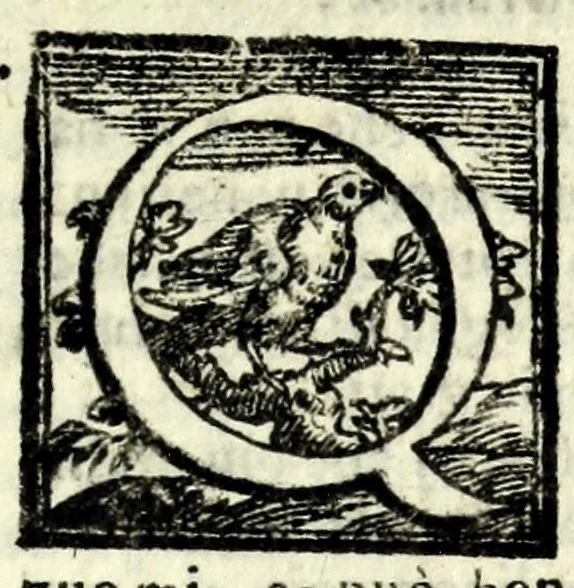 An illustration from L'alchimista : comedia, 1602, leaf 43