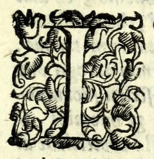 An illustration from L'alchimista : comedia, 1602, leaf 9