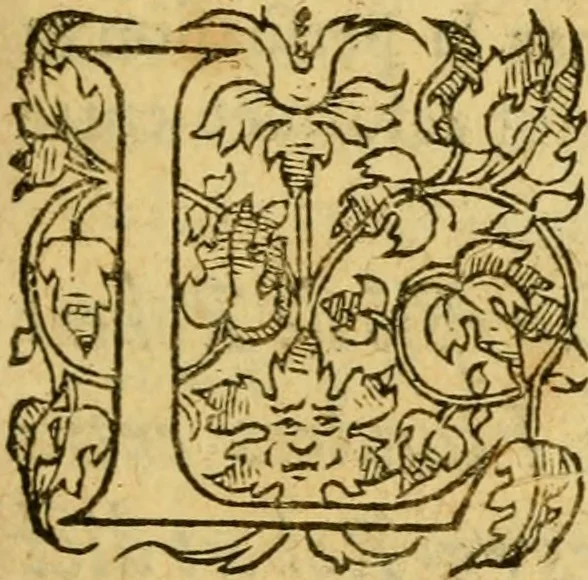 An illustration from La Legende des Flamens : cronique abregee, en laquelle est faict succinct recueil de l'origine des peuples & estatz de Flandres, Arthois, Haynault & Bourgongne, & des guerres par eulx faictes à leurs princes & à leurs voisins : auec plaisante co[m]memoration[n] de plusieurs choses faictes & auenuës en France Angleterre & Alemaigne, depuis sept ou huict cens ans : semblablement y sont traictées les descentes & genealogies des roys de Naples & de Sicille, & des princes & ducz de Milan, & quel droict ont les roys de France aus dictz royaumes & duché, 1558, leaf 100