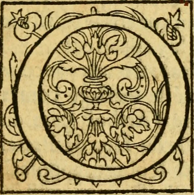 An illustration from La Legende des Flamens : cronique abregee, en laquelle est faict succinct recueil de l'origine des peuples & estatz de Flandres, Arthois, Haynault & Bourgongne, & des guerres par eulx faictes à leurs princes & à leurs voisins : auec plaisante co[m]memoration[n] de plusieurs choses faictes & auenuës en France Angleterre & Alemaigne, depuis sept ou huict cens ans : semblablement y sont traictées les descentes & genealogies des roys de Naples & de Sicille, & des princes & ducz de Milan, & quel droict ont les roys de France aus dictz royaumes & duché, 1558, leaf 104