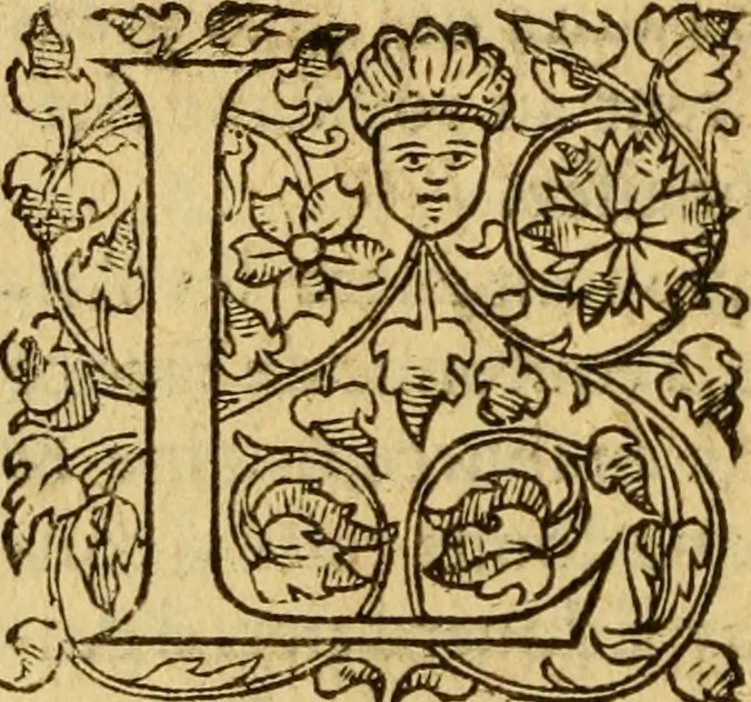 An illustration from La Legende des Flamens : cronique abregee, en laquelle est faict succinct recueil de l'origine des peuples & estatz de Flandres, Arthois, Haynault & Bourgongne, & des guerres par eulx faictes à leurs princes & à leurs voisins : auec plaisante co[m]memoration[n] de plusieurs choses faictes & auenuës en France Angleterre & Alemaigne, depuis sept ou huict cens ans : semblablement y sont traictées les descentes & genealogies des roys de Naples & de Sicille, & des princes & ducz de Milan, & quel droict ont les roys de France aus dictz royaumes & duché, 1558, leaf 107