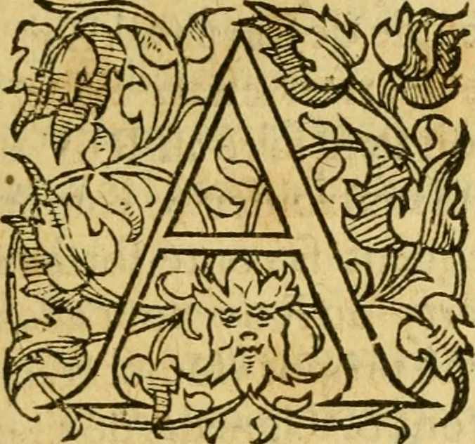 An illustration from La Legende des Flamens : cronique abregee, en laquelle est faict succinct recueil de l'origine des peuples & estatz de Flandres, Arthois, Haynault & Bourgongne, & des guerres par eulx faictes à leurs princes & à leurs voisins : auec plaisante co[m]memoration[n] de plusieurs choses faictes & auenuës en France Angleterre & Alemaigne, depuis sept ou huict cens ans : semblablement y sont traictées les descentes & genealogies des roys de Naples & de Sicille, & des princes & ducz de Milan, & quel droict ont les roys de France aus dictz royaumes & duché, 1558, leaf 114