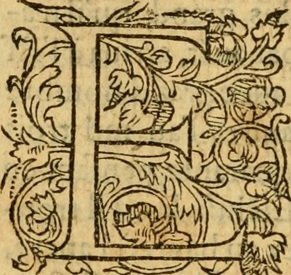 An illustration from La Legende des Flamens : cronique abregee, en laquelle est faict succinct recueil de l'origine des peuples & estatz de Flandres, Arthois, Haynault & Bourgongne, & des guerres par eulx faictes à leurs princes & à leurs voisins : auec plaisante co[m]memoration[n] de plusieurs choses faictes & auenuës en France Angleterre & Alemaigne, depuis sept ou huict cens ans : semblablement y sont traictées les descentes & genealogies des roys de Naples & de Sicille, & des princes & ducz de Milan, & quel droict ont les roys de France aus dictz royaumes & duché, 1558, leaf 117