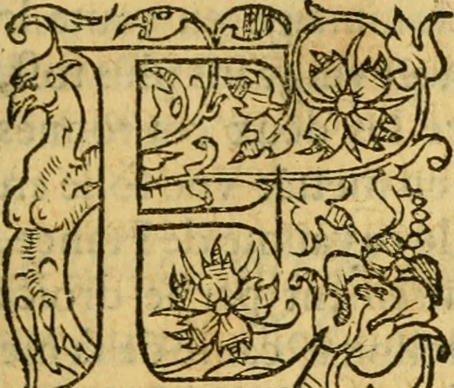An illustration from La Legende des Flamens : cronique abregee, en laquelle est faict succinct recueil de l'origine des peuples & estatz de Flandres, Arthois, Haynault & Bourgongne, & des guerres par eulx faictes à leurs princes & à leurs voisins : auec plaisante co[m]memoration[n] de plusieurs choses faictes & auenuës en France Angleterre & Alemaigne, depuis sept ou huict cens ans : semblablement y sont traictées les descentes & genealogies des roys de Naples & de Sicille, & des princes & ducz de Milan, & quel droict ont les roys de France aus dictz royaumes & duché, 1558, leaf 118