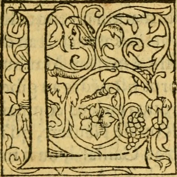 An illustration from La Legende des Flamens : cronique abregee, en laquelle est faict succinct recueil de l'origine des peuples & estatz de Flandres, Arthois, Haynault & Bourgongne, & des guerres par eulx faictes à leurs princes & à leurs voisins : auec plaisante co[m]memoration[n] de plusieurs choses faictes & auenuës en France Angleterre & Alemaigne, depuis sept ou huict cens ans : semblablement y sont traictées les descentes & genealogies des roys de Naples & de Sicille, & des princes & ducz de Milan, & quel droict ont les roys de France aus dictz royaumes & duché, 1558, leaf 122