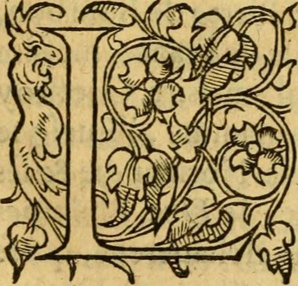 An illustration from La Legende des Flamens : cronique abregee, en laquelle est faict succinct recueil de l'origine des peuples & estatz de Flandres, Arthois, Haynault & Bourgongne, & des guerres par eulx faictes à leurs princes & à leurs voisins : auec plaisante co[m]memoration[n] de plusieurs choses faictes & auenuës en France Angleterre & Alemaigne, depuis sept ou huict cens ans : semblablement y sont traictées les descentes & genealogies des roys de Naples & de Sicille, & des princes & ducz de Milan, & quel droict ont les roys de France aus dictz royaumes & duché, 1558, leaf 124