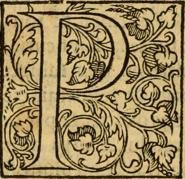 An illustration from La Legende des Flamens : cronique abregee, en laquelle est faict succinct recueil de l'origine des peuples & estatz de Flandres, Arthois, Haynault & Bourgongne, & des guerres par eulx faictes à leurs princes & à leurs voisins : auec plaisante co[m]memoration[n] de plusieurs choses faictes & auenuës en France Angleterre & Alemaigne, depuis sept ou huict cens ans : semblablement y sont traictées les descentes & genealogies des roys de Naples & de Sicille, & des princes & ducz de Milan, & quel droict ont les roys de France aus dictz royaumes & duché, 1558, leaf 125