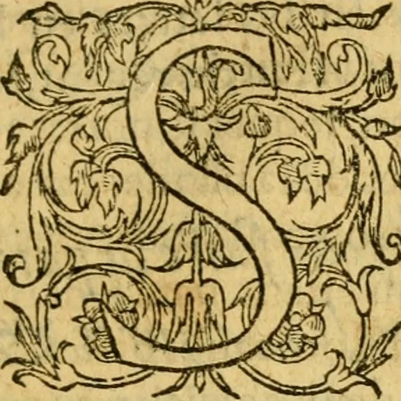 An illustration from La Legende des Flamens : cronique abregee, en laquelle est faict succinct recueil de l'origine des peuples & estatz de Flandres, Arthois, Haynault & Bourgongne, & des guerres par eulx faictes à leurs princes & à leurs voisins : auec plaisante co[m]memoration[n] de plusieurs choses faictes & auenuës en France Angleterre & Alemaigne, depuis sept ou huict cens ans : semblablement y sont traictées les descentes & genealogies des roys de Naples & de Sicille, & des princes & ducz de Milan, & quel droict ont les roys de France aus dictz royaumes & duché, 1558, leaf 128