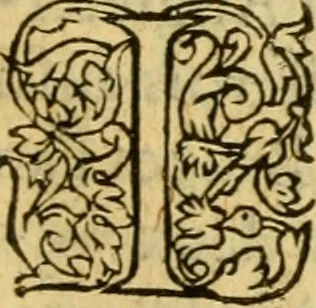 An illustration from La Legende des Flamens : cronique abregee, en laquelle est faict succinct recueil de l'origine des peuples & estatz de Flandres, Arthois, Haynault & Bourgongne, & des guerres par eulx faictes à leurs princes & à leurs voisins : auec plaisante co[m]memoration[n] de plusieurs choses faictes & auenuës en France Angleterre & Alemaigne, depuis sept ou huict cens ans : semblablement y sont traictées les descentes & genealogies des roys de Naples & de Sicille, & des princes & ducz de Milan, & quel droict ont les roys de France aus dictz royaumes & duché, 1558, leaf 142