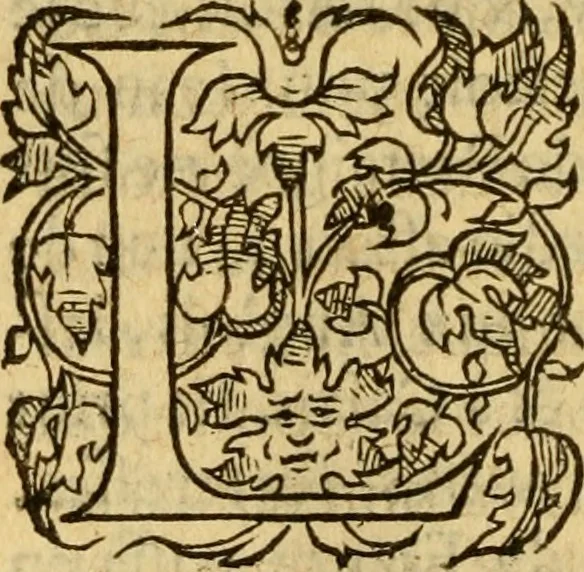 An illustration from La Legende des Flamens : cronique abregee, en laquelle est faict succinct recueil de l'origine des peuples & estatz de Flandres, Arthois, Haynault & Bourgongne, & des guerres par eulx faictes à leurs princes & à leurs voisins : auec plaisante co[m]memoration[n] de plusieurs choses faictes & auenuës en France Angleterre & Alemaigne, depuis sept ou huict cens ans : semblablement y sont traictées les descentes & genealogies des roys de Naples & de Sicille, & des princes & ducz de Milan, & quel droict ont les roys de France aus dictz royaumes & duché, 1558, leaf 145