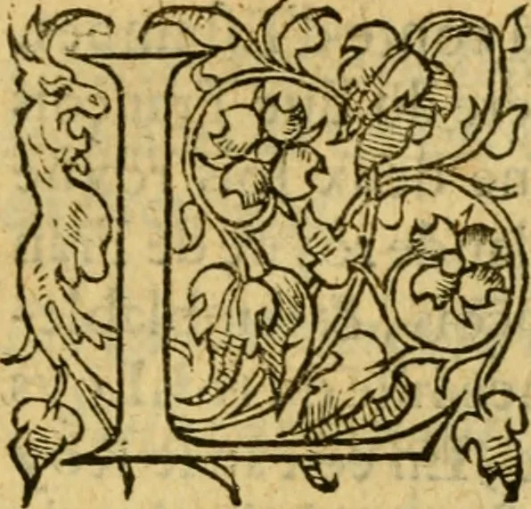 An illustration from La Legende des Flamens : cronique abregee, en laquelle est faict succinct recueil de l'origine des peuples & estatz de Flandres, Arthois, Haynault & Bourgongne, & des guerres par eulx faictes à leurs princes & à leurs voisins : auec plaisante co[m]memoration[n] de plusieurs choses faictes & auenuës en France Angleterre & Alemaigne, depuis sept ou huict cens ans : semblablement y sont traictées les descentes & genealogies des roys de Naples & de Sicille, & des princes & ducz de Milan, & quel droict ont les roys de France aus dictz royaumes & duché, 1558, leaf 152