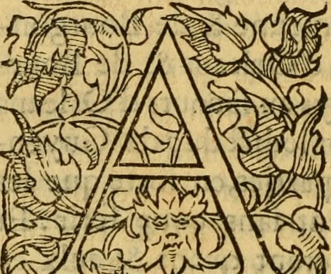 An illustration from La Legende des Flamens : cronique abregee, en laquelle est faict succinct recueil de l'origine des peuples & estatz de Flandres, Arthois, Haynault & Bourgongne, & des guerres par eulx faictes à leurs princes & à leurs voisins : auec plaisante co[m]memoration[n] de plusieurs choses faictes & auenuës en France Angleterre & Alemaigne, depuis sept ou huict cens ans : semblablement y sont traictées les descentes & genealogies des roys de Naples & de Sicille, & des princes & ducz de Milan, & quel droict ont les roys de France aus dictz royaumes & duché, 1558, leaf 159