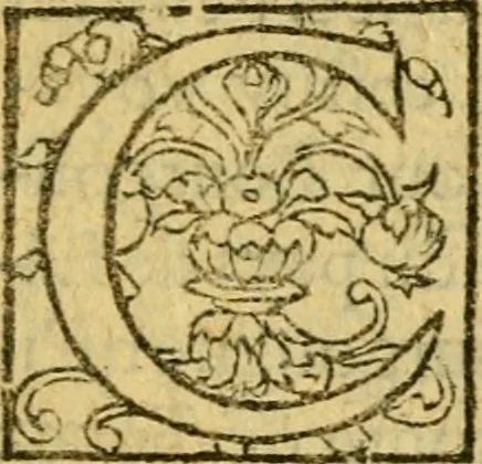 An illustration from La Legende des Flamens : cronique abregee, en laquelle est faict succinct recueil de l'origine des peuples & estatz de Flandres, Arthois, Haynault & Bourgongne, & des guerres par eulx faictes à leurs princes & à leurs voisins : auec plaisante co[m]memoration[n] de plusieurs choses faictes & auenuës en France Angleterre & Alemaigne, depuis sept ou huict cens ans : semblablement y sont traictées les descentes & genealogies des roys de Naples & de Sicille, & des princes & ducz de Milan, & quel droict ont les roys de France aus dictz royaumes & duché, 1558, leaf 162