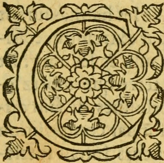 An illustration from La Legende des Flamens : cronique abregee, en laquelle est faict succinct recueil de l'origine des peuples & estatz de Flandres, Arthois, Haynault & Bourgongne, & des guerres par eulx faictes à leurs princes & à leurs voisins : auec plaisante co[m]memoration[n] de plusieurs choses faictes & auenuës en France Angleterre & Alemaigne, depuis sept ou huict cens ans : semblablement y sont traictées les descentes & genealogies des roys de Naples & de Sicille, & des princes & ducz de Milan, & quel droict ont les roys de France aus dictz royaumes & duché, 1558, leaf 164