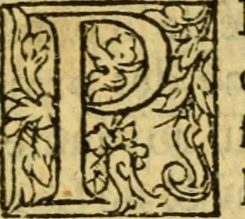An illustration from La Legende des Flamens : cronique abregee, en laquelle est faict succinct recueil de l'origine des peuples & estatz de Flandres, Arthois, Haynault & Bourgongne, & des guerres par eulx faictes à leurs princes & à leurs voisins : auec plaisante co[m]memoration[n] de plusieurs choses faictes & auenuës en France Angleterre & Alemaigne, depuis sept ou huict cens ans : semblablement y sont traictées les descentes & genealogies des roys de Naples & de Sicille, & des princes & ducz de Milan, & quel droict ont les roys de France aus dictz royaumes & duché, 1558, leaf 176