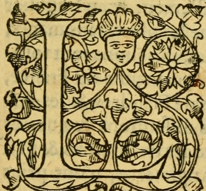 An illustration from La Legende des Flamens : cronique abregee, en laquelle est faict succinct recueil de l'origine des peuples & estatz de Flandres, Arthois, Haynault & Bourgongne, & des guerres par eulx faictes à leurs princes & à leurs voisins : auec plaisante co[m]memoration[n] de plusieurs choses faictes & auenuës en France Angleterre & Alemaigne, depuis sept ou huict cens ans : semblablement y sont traictées les descentes & genealogies des roys de Naples & de Sicille, & des princes & ducz de Milan, & quel droict ont les roys de France aus dictz royaumes & duché, 1558, leaf 20