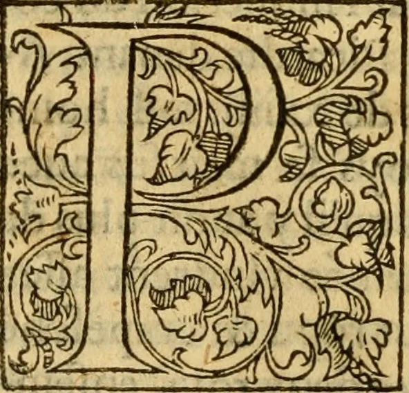 An illustration from La Legende des Flamens : cronique abregee, en laquelle est faict succinct recueil de l'origine des peuples & estatz de Flandres, Arthois, Haynault & Bourgongne, & des guerres par eulx faictes à leurs princes & à leurs voisins : auec plaisante co[m]memoration[n] de plusieurs choses faictes & auenuës en France Angleterre & Alemaigne, depuis sept ou huict cens ans : semblablement y sont traictées les descentes & genealogies des roys de Naples & de Sicille, & des princes & ducz de Milan, & quel droict ont les roys de France aus dictz royaumes & duché, 1558, leaf 205