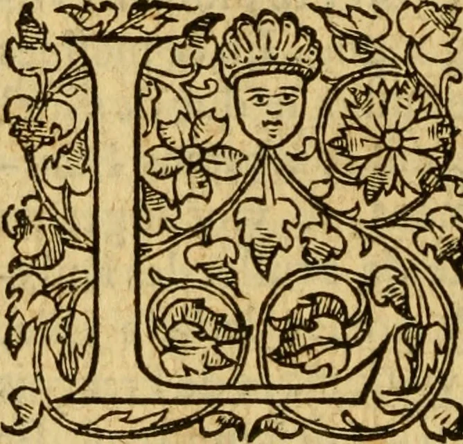 An illustration from La Legende des Flamens : cronique abregee, en laquelle est faict succinct recueil de l'origine des peuples & estatz de Flandres, Arthois, Haynault & Bourgongne, & des guerres par eulx faictes à leurs princes & à leurs voisins : auec plaisante co[m]memoration[n] de plusieurs choses faictes & auenuës en France Angleterre & Alemaigne, depuis sept ou huict cens ans : semblablement y sont traictées les descentes & genealogies des roys de Naples & de Sicille, & des princes & ducz de Milan, & quel droict ont les roys de France aus dictz royaumes & duché, 1558, leaf 211