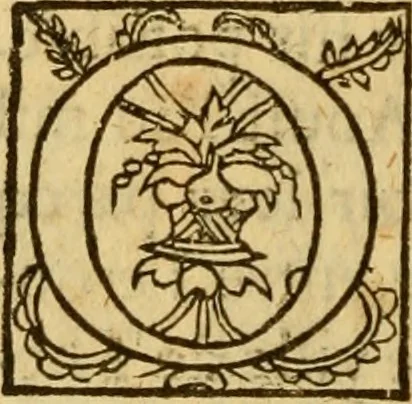 An illustration from La Legende des Flamens : cronique abregee, en laquelle est faict succinct recueil de l'origine des peuples & estatz de Flandres, Arthois, Haynault & Bourgongne, & des guerres par eulx faictes à leurs princes & à leurs voisins : auec plaisante co[m]memoration[n] de plusieurs choses faictes & auenuës en France Angleterre & Alemaigne, depuis sept ou huict cens ans : semblablement y sont traictées les descentes & genealogies des roys de Naples & de Sicille, & des princes & ducz de Milan, & quel droict ont les roys de France aus dictz royaumes & duché, 1558, leaf 213