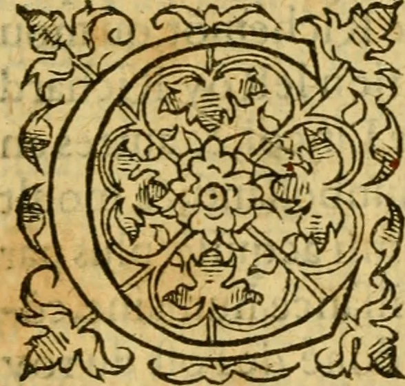 An illustration from La Legende des Flamens : cronique abregee, en laquelle est faict succinct recueil de l'origine des peuples & estatz de Flandres, Arthois, Haynault & Bourgongne, & des guerres par eulx faictes à leurs princes & à leurs voisins : auec plaisante co[m]memoration[n] de plusieurs choses faictes & auenuës en France Angleterre & Alemaigne, depuis sept ou huict cens ans : semblablement y sont traictées les descentes & genealogies des roys de Naples & de Sicille, & des princes & ducz de Milan, & quel droict ont les roys de France aus dictz royaumes & duché, 1558, leaf 214
