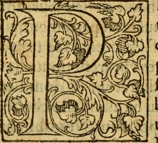 An illustration from La Legende des Flamens : cronique abregee, en laquelle est faict succinct recueil de l'origine des peuples & estatz de Flandres, Arthois, Haynault & Bourgongne, & des guerres par eulx faictes à leurs princes & à leurs voisins : auec plaisante co[m]memoration[n] de plusieurs choses faictes & auenuës en France Angleterre & Alemaigne, depuis sept ou huict cens ans : semblablement y sont traictées les descentes & genealogies des roys de Naples & de Sicille, & des princes & ducz de Milan, & quel droict ont les roys de France aus dictz royaumes & duché, 1558, leaf 223