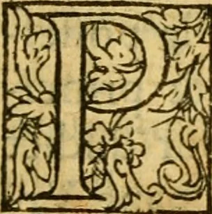 An illustration from La Legende des Flamens : cronique abregee, en laquelle est faict succinct recueil de l'origine des peuples & estatz de Flandres, Arthois, Haynault & Bourgongne, & des guerres par eulx faictes à leurs princes & à leurs voisins : auec plaisante co[m]memoration[n] de plusieurs choses faictes & auenuës en France Angleterre & Alemaigne, depuis sept ou huict cens ans : semblablement y sont traictées les descentes & genealogies des roys de Naples & de Sicille, & des princes & ducz de Milan, & quel droict ont les roys de France aus dictz royaumes & duché, 1558, leaf 226