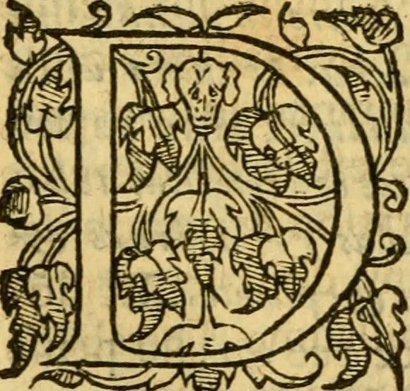 An illustration from La Legende des Flamens : cronique abregee, en laquelle est faict succinct recueil de l'origine des peuples & estatz de Flandres, Arthois, Haynault & Bourgongne, & des guerres par eulx faictes à leurs princes & à leurs voisins : auec plaisante co[m]memoration[n] de plusieurs choses faictes & auenuës en France Angleterre & Alemaigne, depuis sept ou huict cens ans : semblablement y sont traictées les descentes & genealogies des roys de Naples & de Sicille, & des princes & ducz de Milan, & quel droict ont les roys de France aus dictz royaumes & duché, 1558, leaf 232