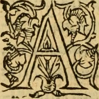 An illustration from La Legende des Flamens : cronique abregee, en laquelle est faict succinct recueil de l'origine des peuples & estatz de Flandres, Arthois, Haynault & Bourgongne, & des guerres par eulx faictes à leurs princes & à leurs voisins : auec plaisante co[m]memoration[n] de plusieurs choses faictes & auenuës en France Angleterre & Alemaigne, depuis sept ou huict cens ans : semblablement y sont traictées les descentes & genealogies des roys de Naples & de Sicille, & des princes & ducz de Milan, & quel droict ont les roys de France aus dictz royaumes & duché, 1558, leaf 259