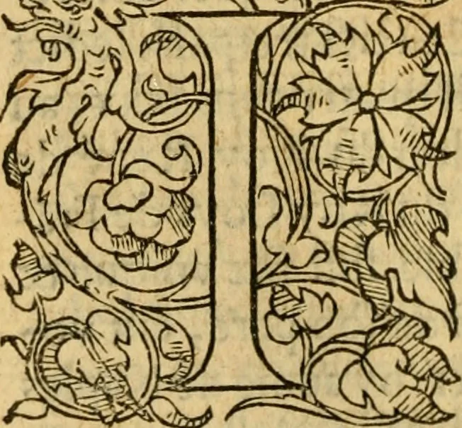An illustration from La Legende des Flamens : cronique abregee, en laquelle est faict succinct recueil de l'origine des peuples & estatz de Flandres, Arthois, Haynault & Bourgongne, & des guerres par eulx faictes à leurs princes & à leurs voisins : auec plaisante co[m]memoration[n] de plusieurs choses faictes & auenuës en France Angleterre & Alemaigne, depuis sept ou huict cens ans : semblablement y sont traictées les descentes & genealogies des roys de Naples & de Sicille, & des princes & ducz de Milan, & quel droict ont les roys de France aus dictz royaumes & duché, 1558, leaf 263