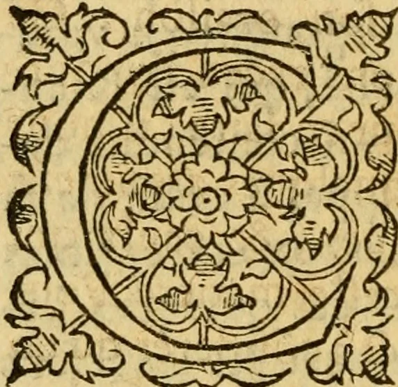 An illustration from La Legende des Flamens : cronique abregee, en laquelle est faict succinct recueil de l'origine des peuples & estatz de Flandres, Arthois, Haynault & Bourgongne, & des guerres par eulx faictes à leurs princes & à leurs voisins : auec plaisante co[m]memoration[n] de plusieurs choses faictes & auenuës en France Angleterre & Alemaigne, depuis sept ou huict cens ans : semblablement y sont traictées les descentes & genealogies des roys de Naples & de Sicille, & des princes & ducz de Milan, & quel droict ont les roys de France aus dictz royaumes & duché, 1558, leaf 281