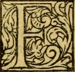 An illustration from La Legende des Flamens : cronique abregee, en laquelle est faict succinct recueil de l'origine des peuples & estatz de Flandres, Arthois, Haynault & Bourgongne, & des guerres par eulx faictes à leurs princes & à leurs voisins : auec plaisante co[m]memoration[n] de plusieurs choses faictes & auenuës en France Angleterre & Alemaigne, depuis sept ou huict cens ans : semblablement y sont traictées les descentes & genealogies des roys de Naples & de Sicille, & des princes & ducz de Milan, & quel droict ont les roys de France aus dictz royaumes & duché, 1558, leaf 294
