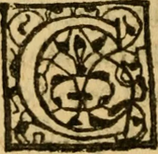 An illustration from La Legende des Flamens : cronique abregee, en laquelle est faict succinct recueil de l'origine des peuples & estatz de Flandres, Arthois, Haynault & Bourgongne, & des guerres par eulx faictes à leurs princes & à leurs voisins : auec plaisante co[m]memoration[n] de plusieurs choses faictes & auenuës en France Angleterre & Alemaigne, depuis sept ou huict cens ans : semblablement y sont traictées les descentes & genealogies des roys de Naples & de Sicille, & des princes & ducz de Milan, & quel droict ont les roys de France aus dictz royaumes & duché, 1558, leaf 305