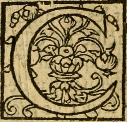 An illustration from La Legende des Flamens : cronique abregee, en laquelle est faict succinct recueil de l'origine des peuples & estatz de Flandres, Arthois, Haynault & Bourgongne, & des guerres par eulx faictes à leurs princes & à leurs voisins : auec plaisante co[m]memoration[n] de plusieurs choses faictes & auenuës en France Angleterre & Alemaigne, depuis sept ou huict cens ans : semblablement y sont traictées les descentes & genealogies des roys de Naples & de Sicille, & des princes & ducz de Milan, & quel droict ont les roys de France aus dictz royaumes & duché, 1558, leaf 317