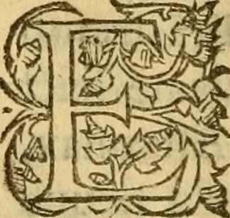 An illustration from La Legende des Flamens : cronique abregee, en laquelle est faict succinct recueil de l'origine des peuples & estatz de Flandres, Arthois, Haynault & Bourgongne, & des guerres par eulx faictes à leurs princes & à leurs voisins : auec plaisante co[m]memoration[n] de plusieurs choses faictes & auenuës en France Angleterre & Alemaigne, depuis sept ou huict cens ans : semblablement y sont traictées les descentes & genealogies des roys de Naples & de Sicille, & des princes & ducz de Milan, & quel droict ont les roys de France aus dictz royaumes & duché, 1558, leaf 39
