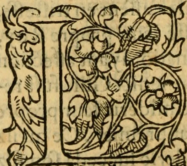 An illustration from La Legende des Flamens : cronique abregee, en laquelle est faict succinct recueil de l'origine des peuples & estatz de Flandres, Arthois, Haynault & Bourgongne, & des guerres par eulx faictes à leurs princes & à leurs voisins : auec plaisante co[m]memoration[n] de plusieurs choses faictes & auenuës en France Angleterre & Alemaigne, depuis sept ou huict cens ans : semblablement y sont traictées les descentes & genealogies des roys de Naples & de Sicille, & des princes & ducz de Milan, & quel droict ont les roys de France aus dictz royaumes & duché, 1558, leaf 53