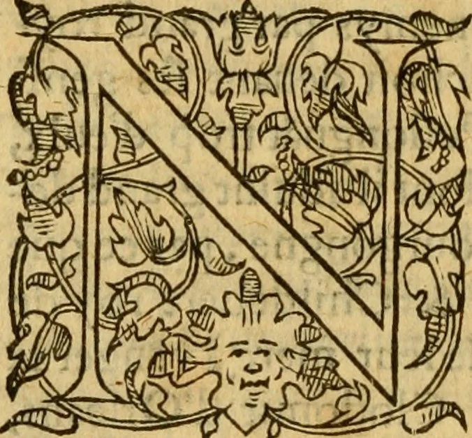 An illustration from La Legende des Flamens : cronique abregee, en laquelle est faict succinct recueil de l'origine des peuples & estatz de Flandres, Arthois, Haynault & Bourgongne, & des guerres par eulx faictes à leurs princes & à leurs voisins : auec plaisante co[m]memoration[n] de plusieurs choses faictes & auenuës en France Angleterre & Alemaigne, depuis sept ou huict cens ans : semblablement y sont traictées les descentes & genealogies des roys de Naples & de Sicille, & des princes & ducz de Milan, & quel droict ont les roys de France aus dictz royaumes & duché, 1558, leaf 59