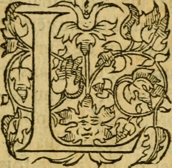 An illustration from La Legende des Flamens : cronique abregee, en laquelle est faict succinct recueil de l'origine des peuples & estatz de Flandres, Arthois, Haynault & Bourgongne, & des guerres par eulx faictes à leurs princes & à leurs voisins : auec plaisante co[m]memoration[n] de plusieurs choses faictes & auenuës en France Angleterre & Alemaigne, depuis sept ou huict cens ans : semblablement y sont traictées les descentes & genealogies des roys de Naples & de Sicille, & des princes & ducz de Milan, & quel droict ont les roys de France aus dictz royaumes & duché, 1558, leaf 6