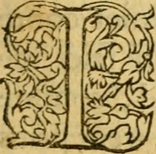 An illustration from La Legende des Flamens : cronique abregee, en laquelle est faict succinct recueil de l'origine des peuples & estatz de Flandres, Arthois, Haynault & Bourgongne, & des guerres par eulx faictes à leurs princes & à leurs voisins : auec plaisante co[m]memoration[n] de plusieurs choses faictes & auenuës en France Angleterre & Alemaigne, depuis sept ou huict cens ans : semblablement y sont traictées les descentes & genealogies des roys de Naples & de Sicille, & des princes & ducz de Milan, & quel droict ont les roys de France aus dictz royaumes & duché, 1558, leaf 60