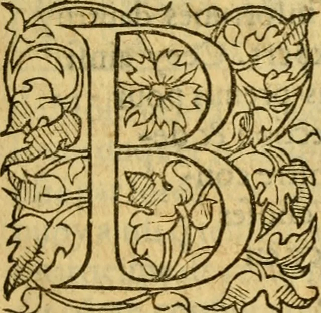 An illustration from La Legende des Flamens : cronique abregee, en laquelle est faict succinct recueil de l'origine des peuples & estatz de Flandres, Arthois, Haynault & Bourgongne, & des guerres par eulx faictes à leurs princes & à leurs voisins : auec plaisante co[m]memoration[n] de plusieurs choses faictes & auenuës en France Angleterre & Alemaigne, depuis sept ou huict cens ans : semblablement y sont traictées les descentes & genealogies des roys de Naples & de Sicille, & des princes & ducz de Milan, & quel droict ont les roys de France aus dictz royaumes & duché, 1558, leaf 64