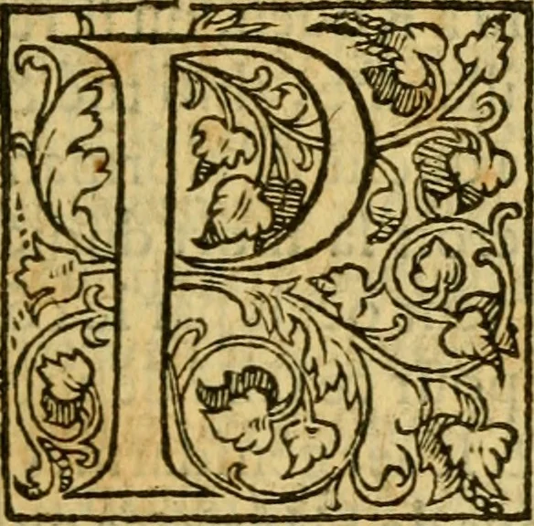 An illustration from La Legende des Flamens : cronique abregee, en laquelle est faict succinct recueil de l'origine des peuples & estatz de Flandres, Arthois, Haynault & Bourgongne, & des guerres par eulx faictes à leurs princes & à leurs voisins : auec plaisante co[m]memoration[n] de plusieurs choses faictes & auenuës en France Angleterre & Alemaigne, depuis sept ou huict cens ans : semblablement y sont traictées les descentes & genealogies des roys de Naples & de Sicille, & des princes & ducz de Milan, & quel droict ont les roys de France aus dictz royaumes & duché, 1558, leaf 66