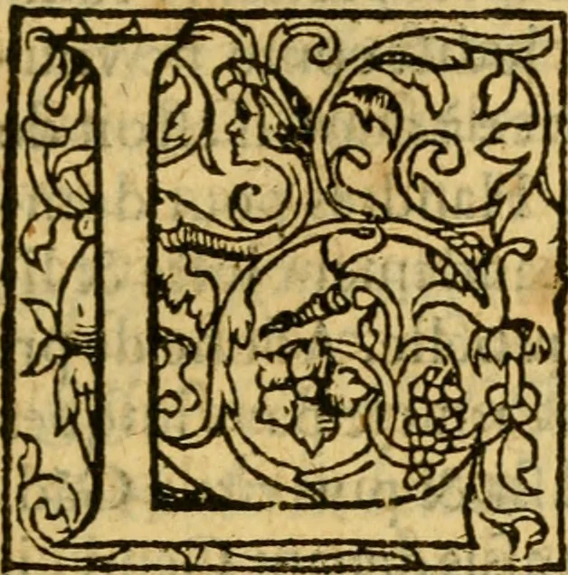 An illustration from La Legende des Flamens : cronique abregee, en laquelle est faict succinct recueil de l'origine des peuples & estatz de Flandres, Arthois, Haynault & Bourgongne, & des guerres par eulx faictes à leurs princes & à leurs voisins : auec plaisante co[m]memoration[n] de plusieurs choses faictes & auenuës en France Angleterre & Alemaigne, depuis sept ou huict cens ans : semblablement y sont traictées les descentes & genealogies des roys de Naples & de Sicille, & des princes & ducz de Milan, & quel droict ont les roys de France aus dictz royaumes & duché, 1558, leaf 74