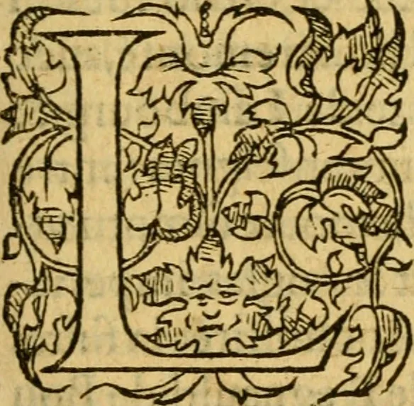 An illustration from La Legende des Flamens : cronique abregee, en laquelle est faict succinct recueil de l'origine des peuples & estatz de Flandres, Arthois, Haynault & Bourgongne, & des guerres par eulx faictes à leurs princes & à leurs voisins : auec plaisante co[m]memoration[n] de plusieurs choses faictes & auenuës en France Angleterre & Alemaigne, depuis sept ou huict cens ans : semblablement y sont traictées les descentes & genealogies des roys de Naples & de Sicille, & des princes & ducz de Milan, & quel droict ont les roys de France aus dictz royaumes & duché, 1558, leaf 76