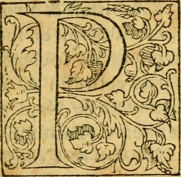 An illustration from La Legende des Flamens : cronique abregee, en laquelle est faict succinct recueil de l'origine des peuples & estatz de Flandres, Arthois, Haynault & Bourgongne, & des guerres par eulx faictes à leurs princes & à leurs voisins : auec plaisante co[m]memoration[n] de plusieurs choses faictes & auenuës en France Angleterre & Alemaigne, depuis sept ou huict cens ans : semblablement y sont traictées les descentes & genealogies des roys de Naples & de Sicille, & des princes & ducz de Milan, & quel droict ont les roys de France aus dictz royaumes & duché, 1558, leaf 94