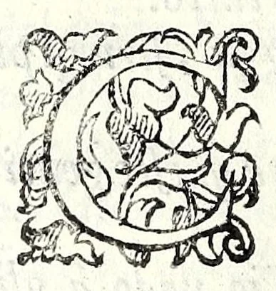 An illustration from La Leonida : comedia, 1585, leaf 230