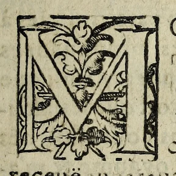An illustration from La Lettre Dv Roy : Envoyee A Monsievr Le Dvc Despernon. Ensemble la premiere & derniere responce dudict sieur D'espernon au Roy., 1619, leaf 11