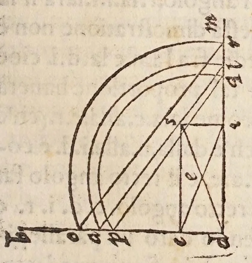An illustration from L'algebra, 1579, leaf 107