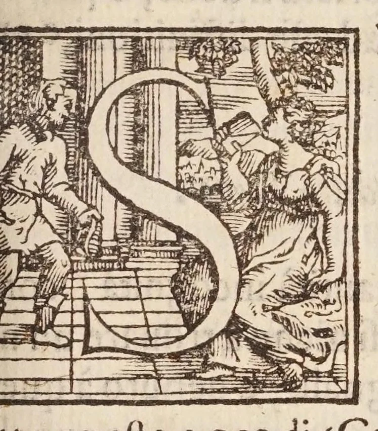 An illustration from L'algebra, 1579, leaf 261