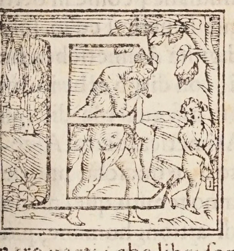 An illustration from L'algebra, 1579, leaf 473