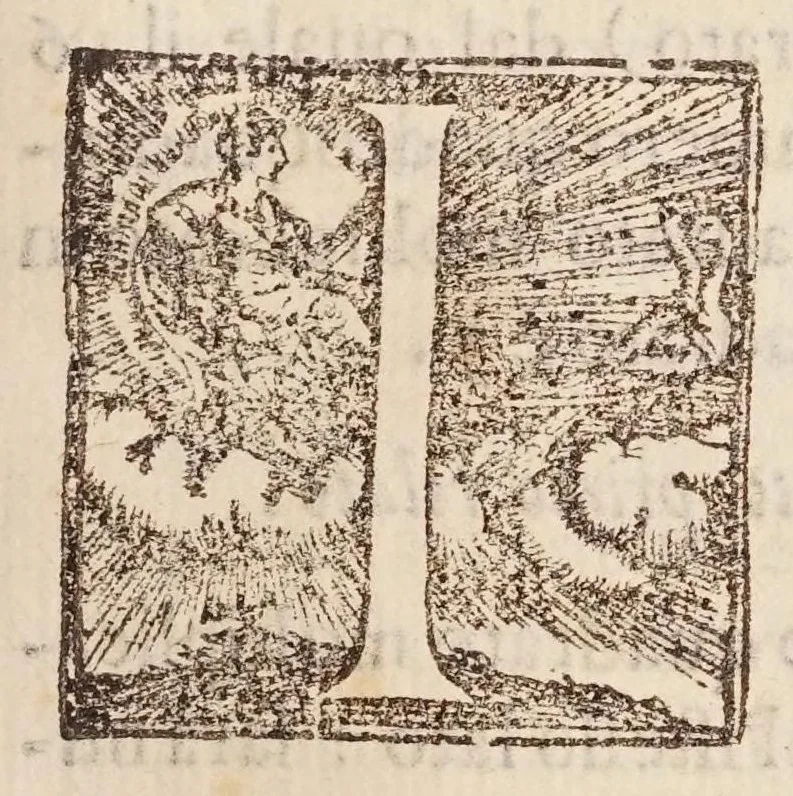 An illustration from L'algebra, 1579, leaf 61