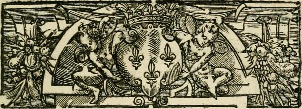 An illustration from L'algebre novvelle de Mr. Viete ..., 1630, leaf 104